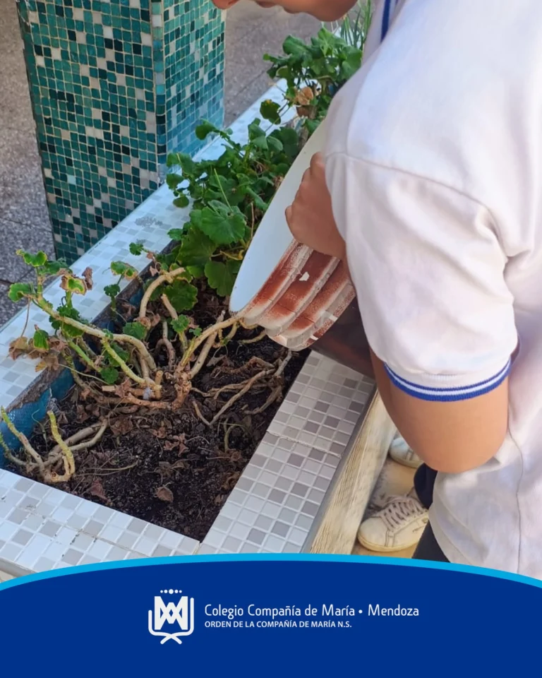 Instagram post from ciamariamendoza. This post is in position 8.