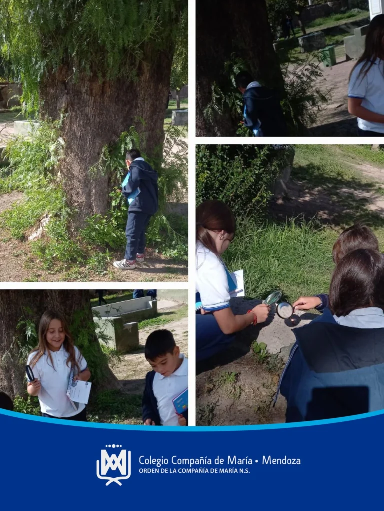 Instagram post from ciamariamendoza. This post is in position 5.